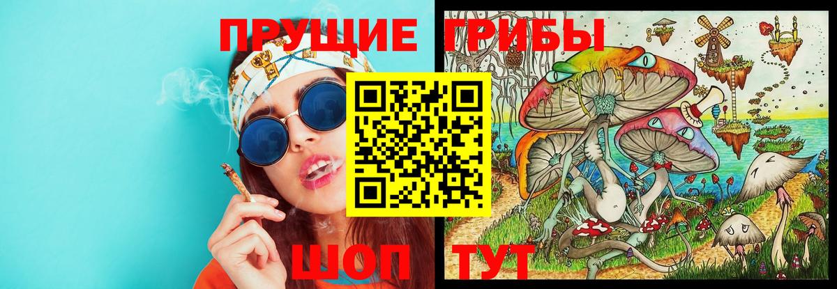Михайловка  Псилоцибиновые грибы ЛСД  Вход с VPN 